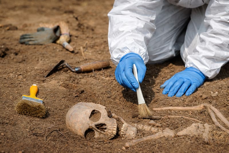 Student in a Tyvek suit and blue latex gloves brushing skeletal remains during gravesite recovery training